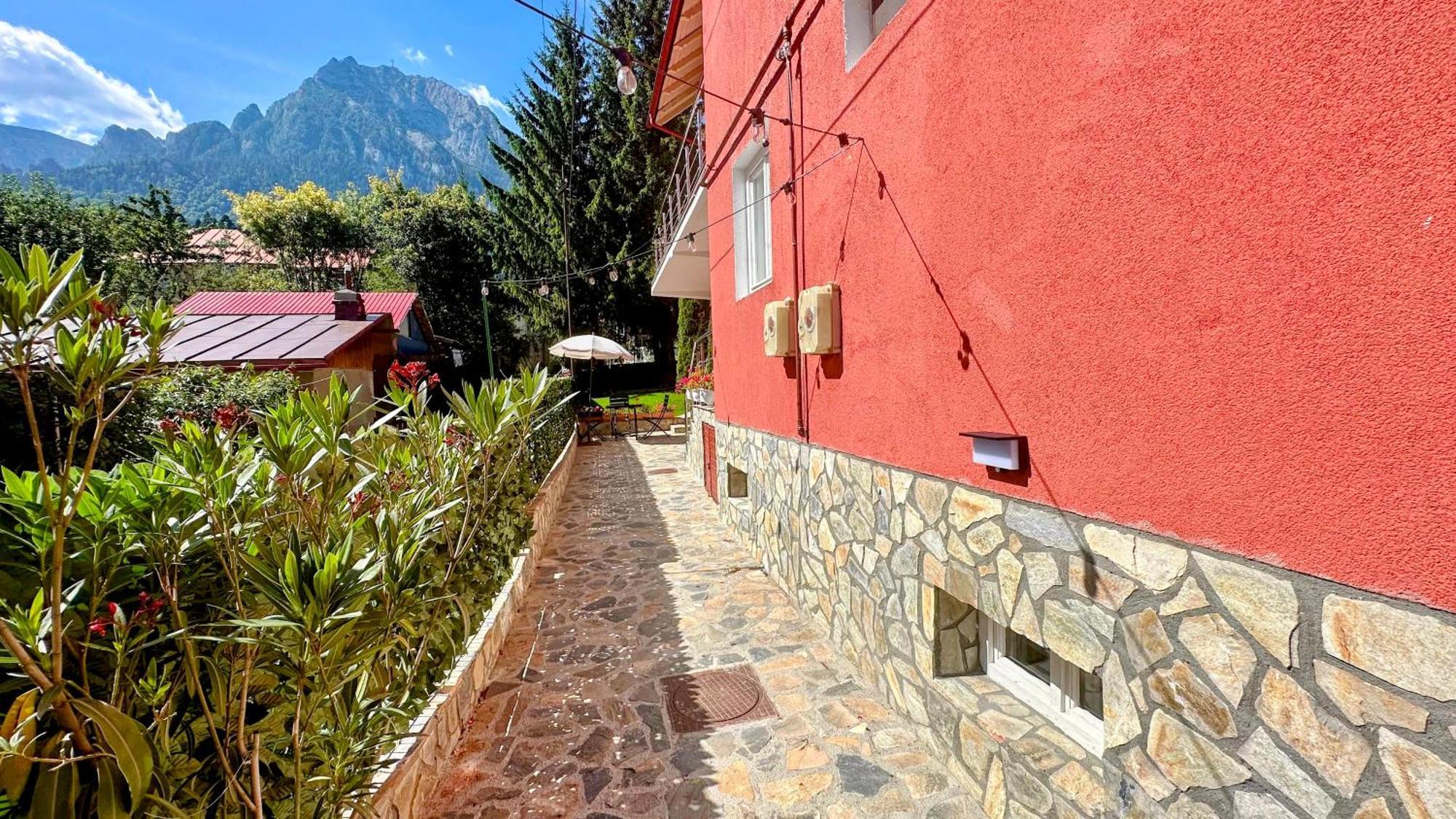 Отель Valea Alba View - Self Check-In Буштени Экстерьер фото