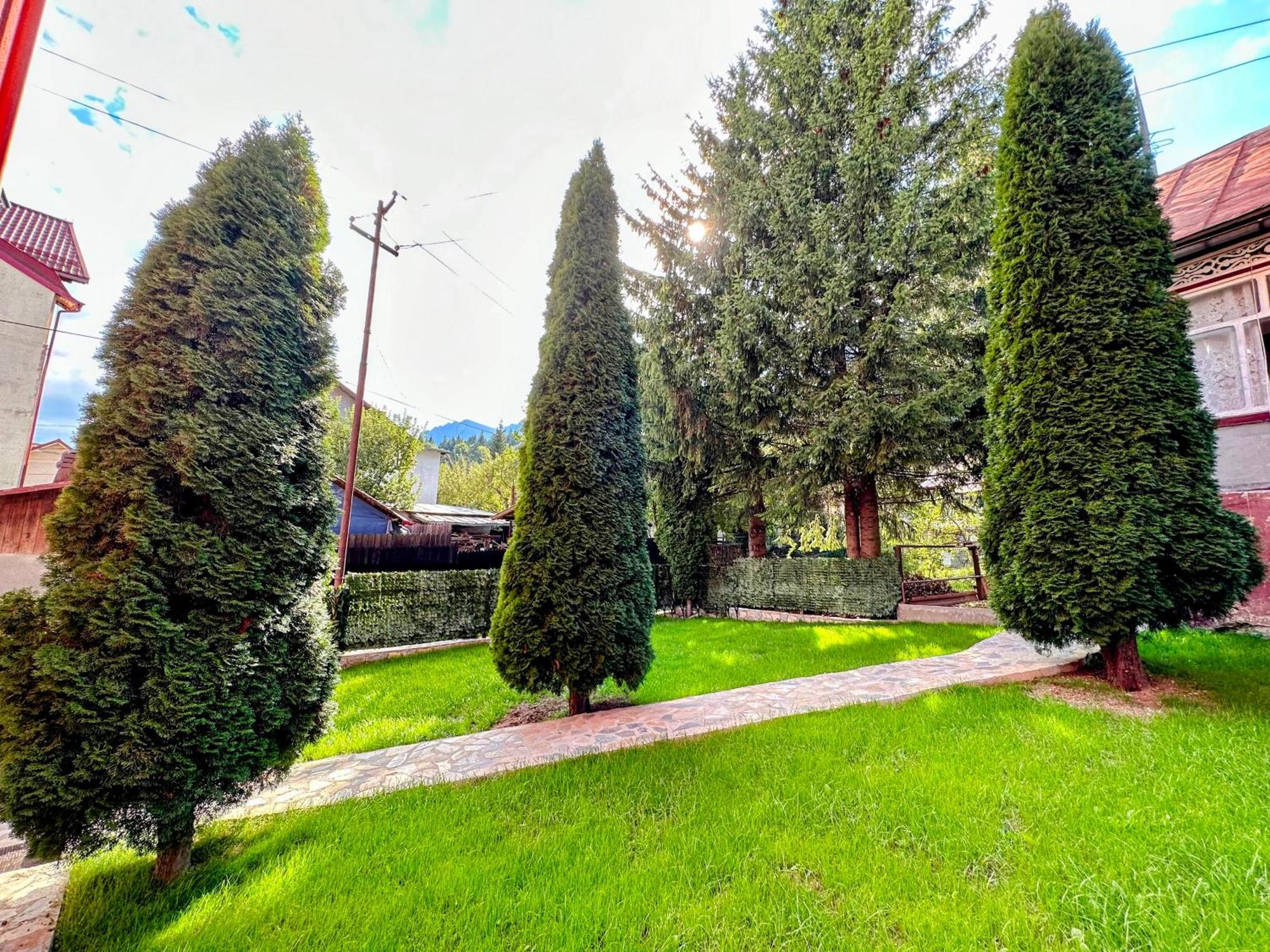 Отель Valea Alba View - Self Check-In Буштени Экстерьер фото