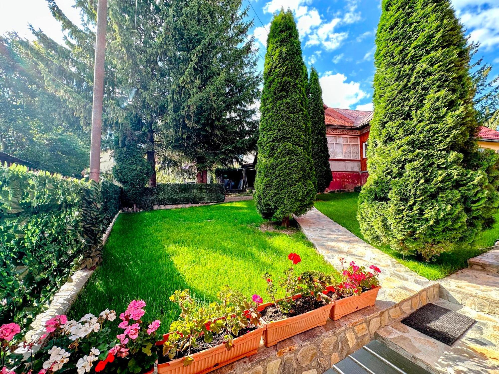 Отель Valea Alba View - Self Check-In Буштени Экстерьер фото