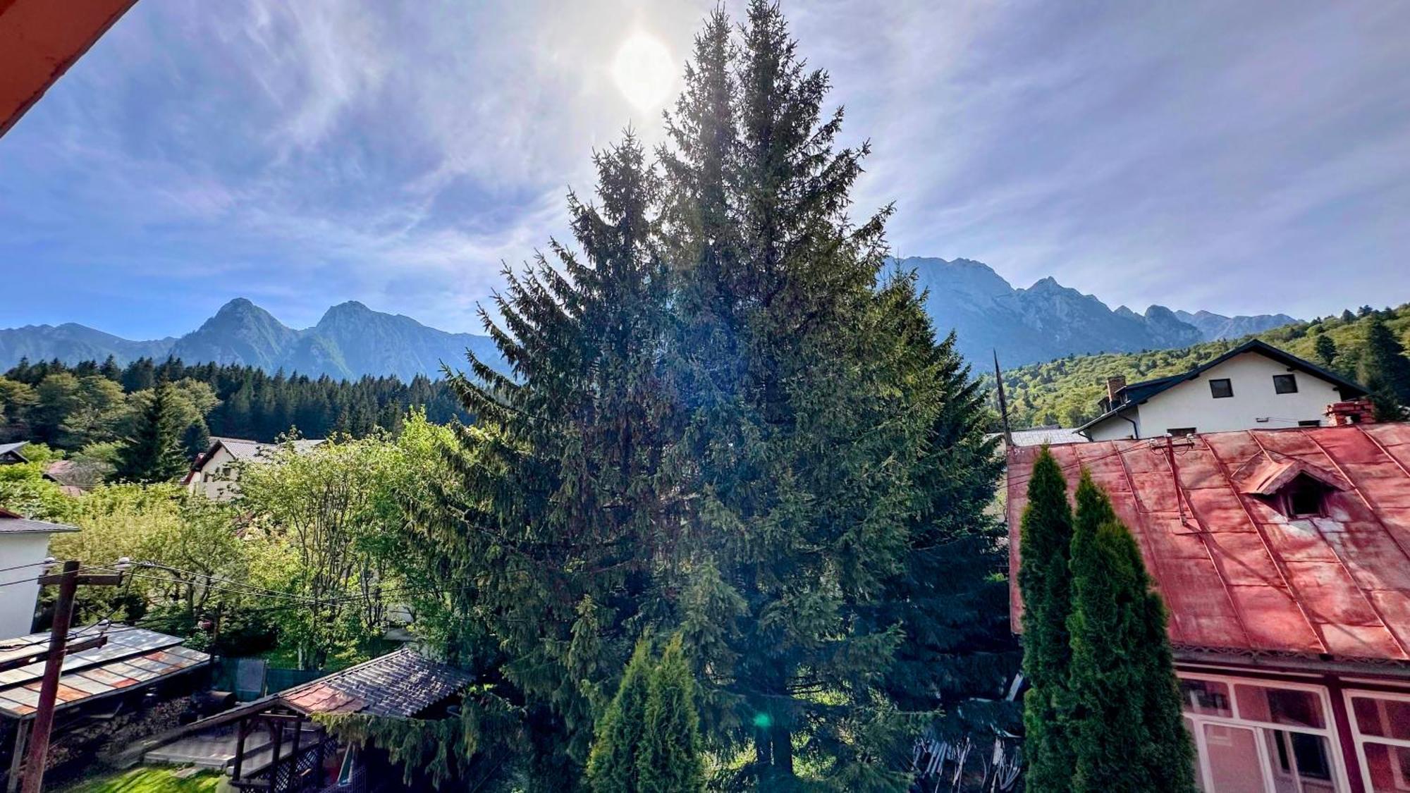 Отель Valea Alba View - Self Check-In Буштени Экстерьер фото